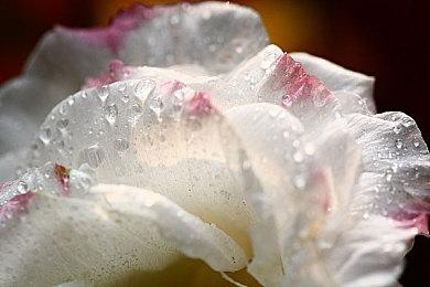 用极限爆发寻求生路，《命运2》新地牢守望者尖塔攻略